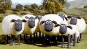 "Shaun, das Schaf", Gemeinsam mit seiner Herde lebt Shaun das Schaf auf der Weide eines idyllisch gelegenen Bauernhofs.