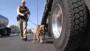 Standort: Houston, USA: Polizei mit Drogenspürhund.