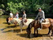 Insel Chiloé in Chile. Ausflug der Praktikanten   Lara, Katharina, Günther und ihrem Guide Pablo. Auf einer Farm im Inland reiten sie im Westernstil durch den Busch  runter zum Fluss. Dort gehen sie mit den Pferden ins Wasser.
