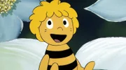 Die Biene Maja
