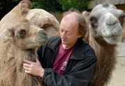 Pfleger Ferdinand Heinemann versorgt die Kamele.