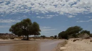 Nur zwei Wochen im Jahr führt der Hoanib Wasser. Nur zwei Wochen im Jahr führt der Hoanib Wasser.