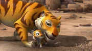 Die Tigermutter ist krank und schwach. Sie kann sich nicht genügend um Chota, ihr Junges, kümmern. Mogli soll kommen und aufpassen.