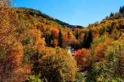 Während der letzten warmen Tage im Jahr sind die Great Smoky Mountains in alle nur erdenklichen Farbtöne getaucht.