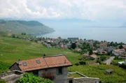 Genfer See bei Bourg-en-Lavaux.
