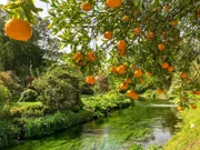 Garten von Ninfa.