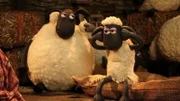 Laute Musik dringt aus dem Farmhaus, das bekommt kein Schaf ein Auge zu.