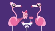 Die Flamingos sind ganz entzückt von dem niedlichen, kleinen Schweinchen.