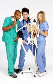 (1. Staffel) - Das erste Jahr als Assistenzärzte am Sacred Heart Hospital fordert von den drei Neulingen, John Dorian (Zach Braff, M.), Turk (Donald Faison, l.) und Elliot (Sarah Chalke, r.), den totalen Einsatz ...