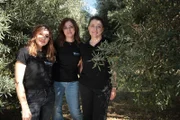 Die Schwestern Lucia (l.), Carmela (M.) und Angela Librandi (r.) arbeiten im Familienbetrieb mit neuen Methoden gemeinsam für die Zukunft des Olivenöls.