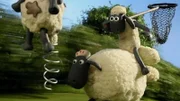 Timmy ist nicht zu stoppen. Kann Shaun ihn mit dem Netz fangen?
