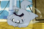 Alexander hat die Katze überlistet.