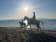 Sarah Moore (l.) und ihre Tochter Libby (r.) beim Pferde reiten am Strand.
