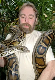 Pfleger Reinhold Evels mit einem prächtigen Tigerpython, für den er verantwortlich ist.