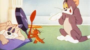 In dieser Serie bekriegen sich Katz und Maus, was das Zeug hält. Egal ob Mausefallen, diverse Schlaginstrumente oder Tomaten als Wurfgeschosse; Tom (re.) und Jerry gehen nie die Ideen aus, um sich gegenseitig das Leben schwer zu machen.