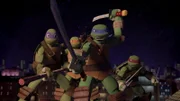 L-R: Donatello, Michelangelo, Leonardo, Raphael