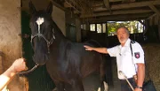 Der Leiter der Polizei Reiterstaffel Hannover, Norbert Rabe, sucht den Nachwuchs für die Reiterstaffel aus.
