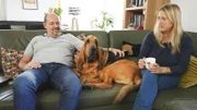 Bloodhound Robin bei Familie Wibekke. Die Verwendung des sendungsbezogenen Materials ist nur mit dem Hinweis und Verlinkung auf RTL+ gestattet.