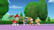 L-R: Marshall, Rocky, Rubble, Skye