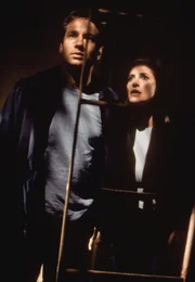 Fox Mulder (David Duchovny, l.); Diana Fowley (Mimi Rogers, r.)