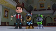 L-R: Ryder, Chase, Rocky