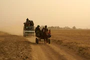 Unterschiedliche Gangarten: Pferdegespann gegen Laster. Viele Unfälle sind die Folge.