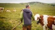 Josef Apfler mit seinen Kühen, Halter vom Schneeberg.