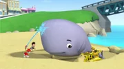 L-R: Marshall, Ryder, baby whale, Rubble