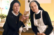 Schwester Felicitas (Karin Gregorek, l.) will ein Katzenvideo mit Katze Kitty drehen und wird dabei von Schwester Agnes (Emanuela von Frankenberg, r.) überrascht.