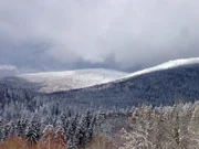 Universum: "Wilde Heimat - Winter". Der Winter ist ohne Frage die härteste Zeit des Jahres. Schnee und Eis überziehen Land und Gewässer, die Tage sind kurz und dunkel. Für Adler, Luchs und Fuchs wird es immer schwerer, Beute zu machen. Oft hängt ihr Überleben von den Opfern ab, die der Winter fordert. Doch es gibt auch Tierarten, die ausgerechnet in der eisigsten Jahreszeit Nachwuchs bekommen: Bei Kreuzschnäbeln und Kegelrobben kommen zur Jahreswende die ersten Jungen zur Welt. Und die Menschen trotzen dem Winter mit einigen ihrer buntesten Feste: Lichtfeste wie Weihnachten, das nordfriesische Biikebrennen und der Hexensabbat haben ihren Ursprung in uralten vorchristlichen Winterritualen.