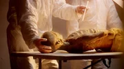 Ötzi-Mumie