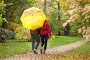 Young couple walking aroud the park under umbrella