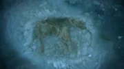 Luba (Mammut)