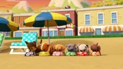 L-R: Chase, Rubble, Skye, Rocky, Marshall, Zuma