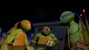 L-R: Michelangelo, Raphael, Leonardo