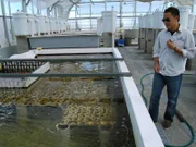 Checking out the different types of marine life available for the aquarium.