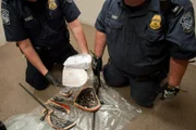 Brownsville Gateway POE, Texas, USA: Officer Curry drills into the plaques and reveal a white powder that field tests positive for cocaine.  There where three packages of cocaine in three different plaques with a total of 1.92 Kilograms of cocaine.  (Photo Credit: NGT/ Kevin Cunningham)