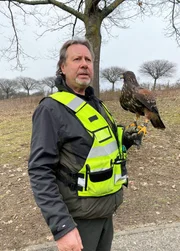 Gerd Stradinger mit seinem Wüstenbussard – der ehrenamtliche Stadtjäger unterstützt Karlsruhe wirksam bei der Bekämpfung der Wildkaninchenplage.