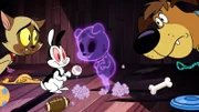 v.li.: Chester, Bunnicula, Lil Capone, Harold