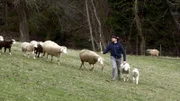 Die Fischbacher Alpen entfalten ihren Charme, während Gebhard Hölzl das Leben dort zeigt.