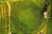 Einen weltweit einzigartigen Weinberg hat ein Verein aus Hobby-Winzern geschaffen. Die „Wingertschnegg" wurde wie ein Schneckenhaus in Spiralform angelegt. Durch die außergewöhnliche Form wurde „die längste Rebzeile der Welt“ geschaffen.