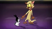 v.li.: Bunnicula, Chester