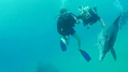 The actor Sebastian Ströbel takes you on an adventurous journey of discovery through Israel.