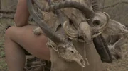 Nahaufnahme von verschiedenen Tierschädeln