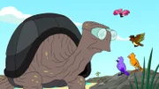 Riesenschildkröte Farnsworth verzweifelt, weil seine Gattung vom Aussterben bedroht ist und er kein Weibchen zur Paarung hat ...
