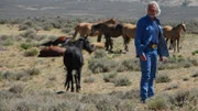 Erich Proell wit mustangs.