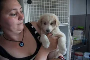 Dr Jeff and a small team head to Romania to help animals in need.