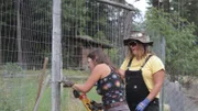 A medium shot of Misty in action as she teaches Jessica Hill how to repair a chain link fence.