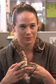Chicka is a snake that is brought in for a general check up.