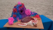 Beauty of Sea Turtle Cake.